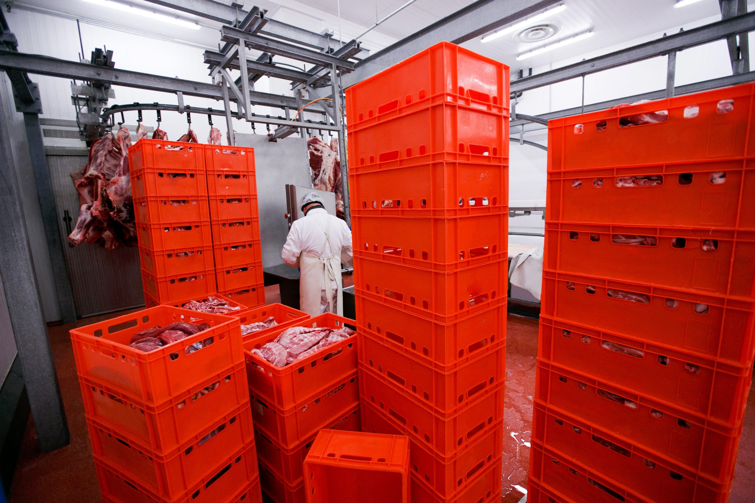 A lot of plastic red boxes with chopped fresh raw meat, a worker arranged a stored in a meat factory, industry process. Horizontal view.